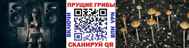 Галлюциногенные грибы прущие грибы  как найти наркотики  Нюрба 